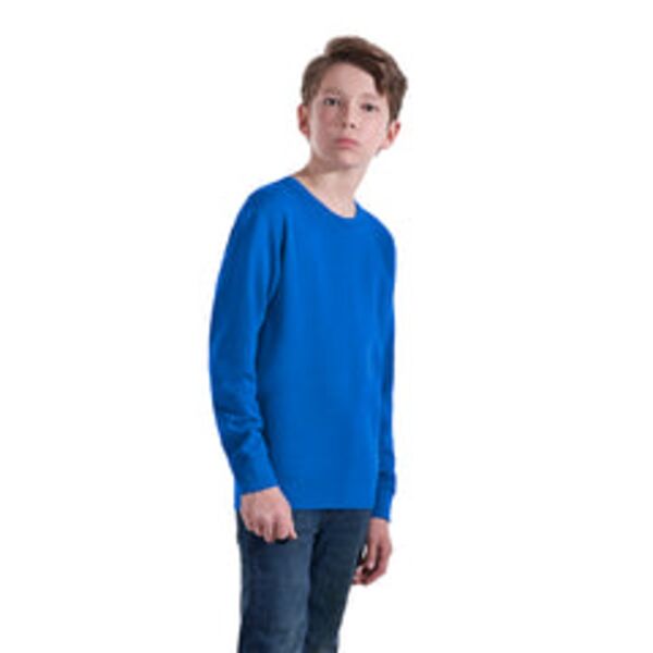 Youth Crewneck Pullover Sweatshirt Thumbnail